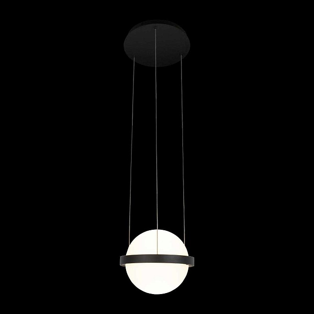 Подвесной светильник LOFT IT Jardin 10121/A Фото № 3