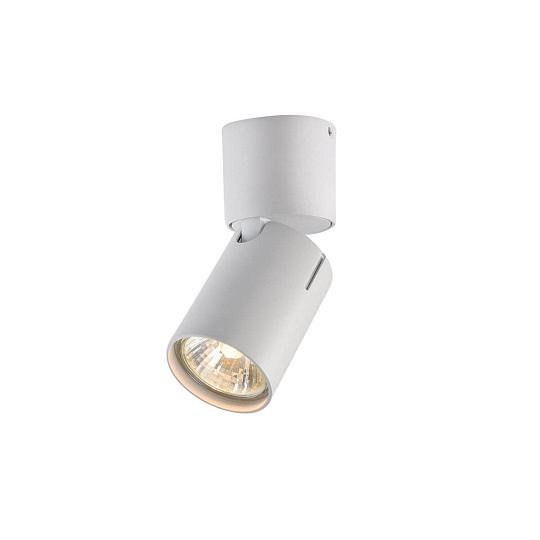 Спот Vele Luce Carrisi VL8061S11 изображение Спот Vele Luce Carrisi VL8061S11 Фото №